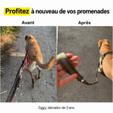 Harnais anti-traction personnalisé à son prénom