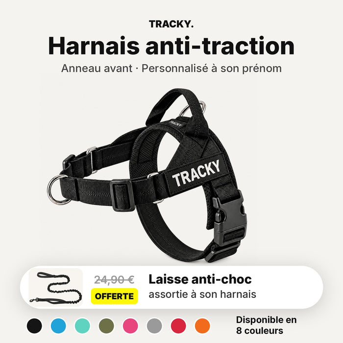 Harnais anti-traction personnalisé à son prénom