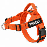 Harnais anti-traction Tracky orange