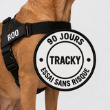 Harnais anti-traction personnalisé à son prénom