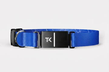 Collier Bleu