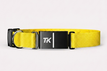 Collier Jaune