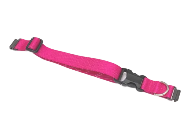 Bande Series 3/3+ Rose