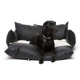 Tracky Voyage ISOFIX — Siège auto pour chien