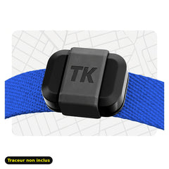 Collier Bleu