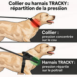 Harnais anti-traction Tracky - info pression