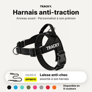 Harnais anti-traction personnalisé à son prénom