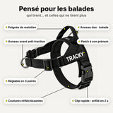 Détails du harnais anti-traction Tracky