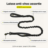 Laisse anti-choc assortie offerte