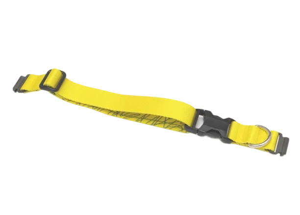 Bande Series Mini
